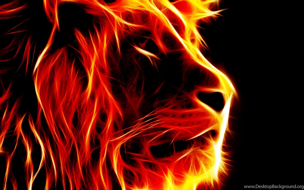 Wallpapers Rasta Fire Lion By Luks Social Ing 2560x1600