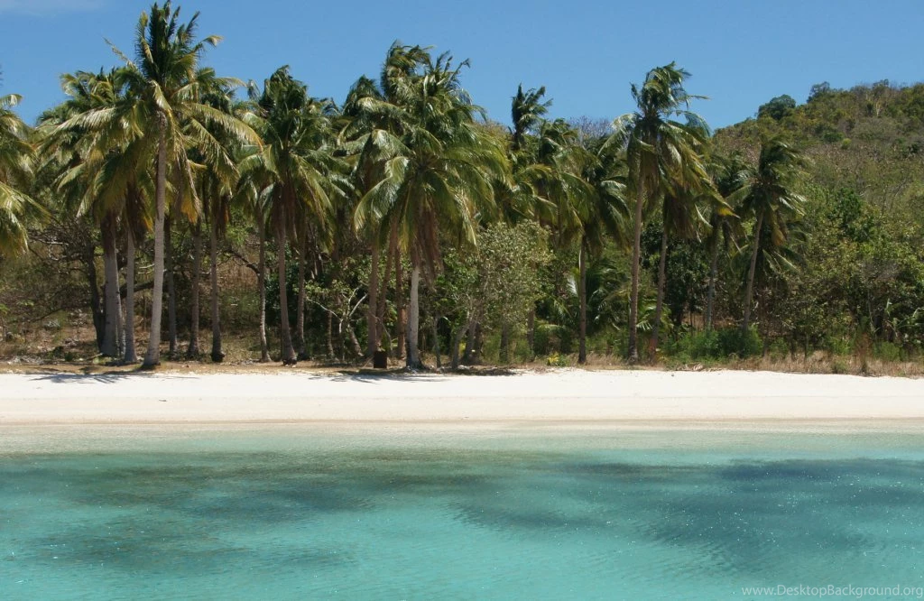 Beauty Queens By Libba Bray – Dear Reader