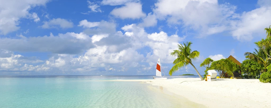 Download Wallpapers 2560x1024 Beach, Tropics, Sea, Sand, Palm Trees ...