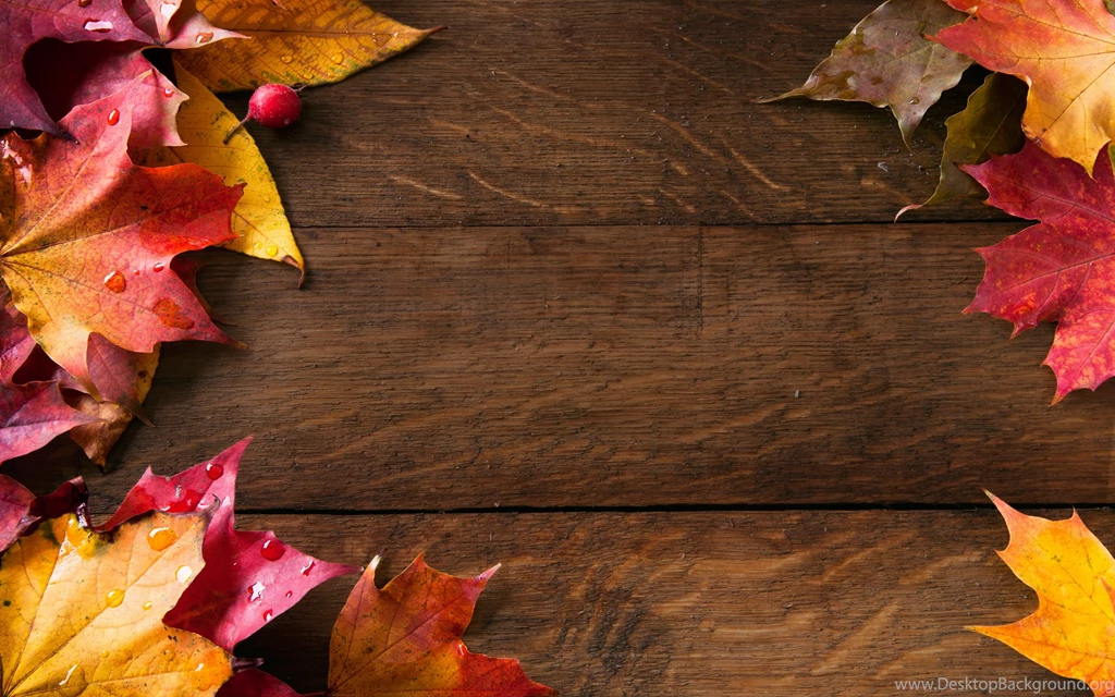 Autumn Wallpapers Cool High Definition Fullwidehd.com