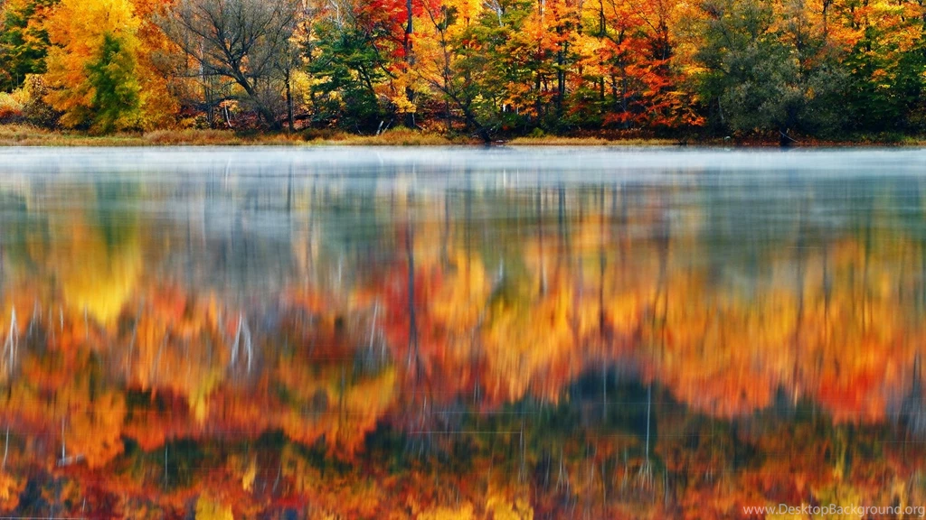 Autumn In Water Reflexion