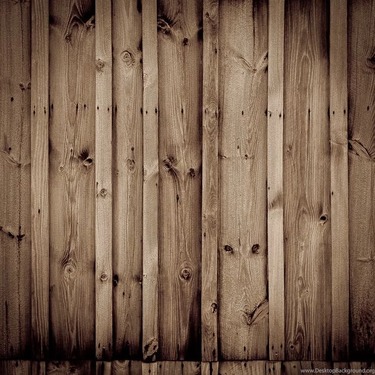 On The Walls On Pinterest