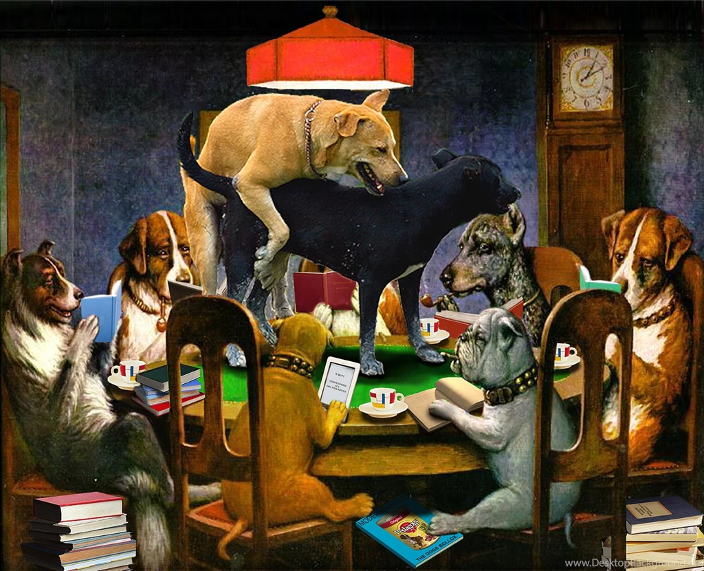 Poker Dogs » Win Cash