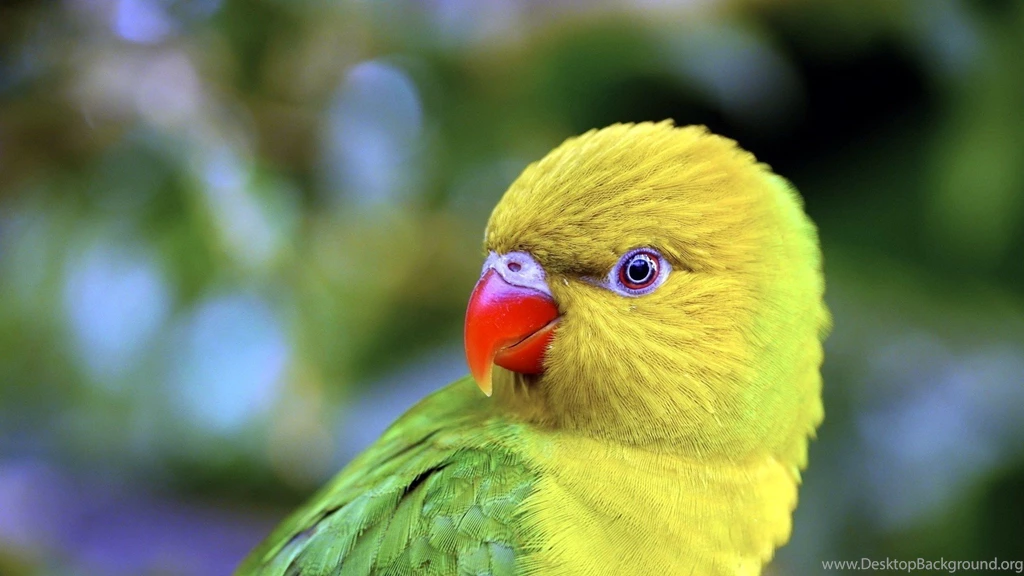 Full Hd Wallpapers Download 1080p Best HD Desktop Wallpapers 1080p ...