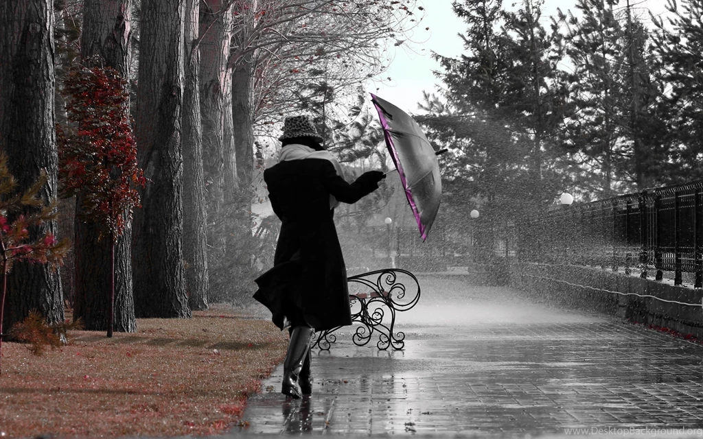 Rainy Day Images