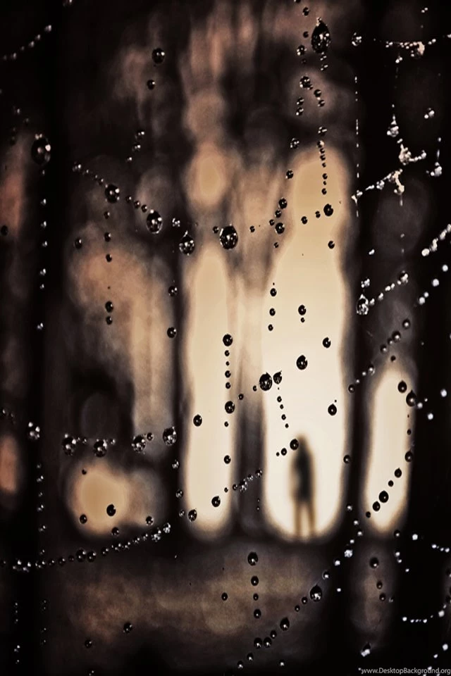 On Rainy Day