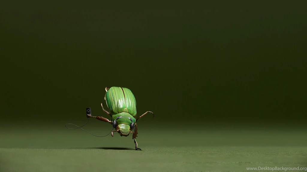 Bug Wallpapers