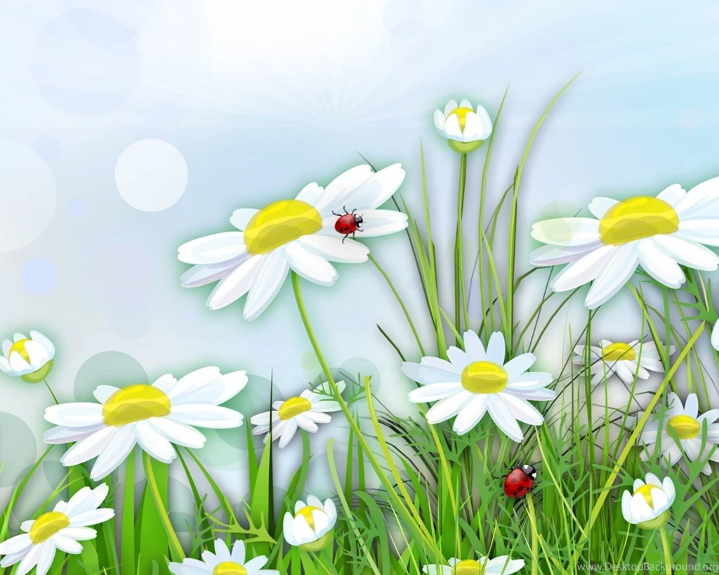 1280x1024 Chamomile & Lady Bugs Desktop PC And Mac Wallpapers