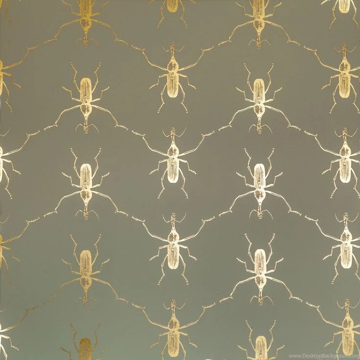 Buggie In Flashy Cadet