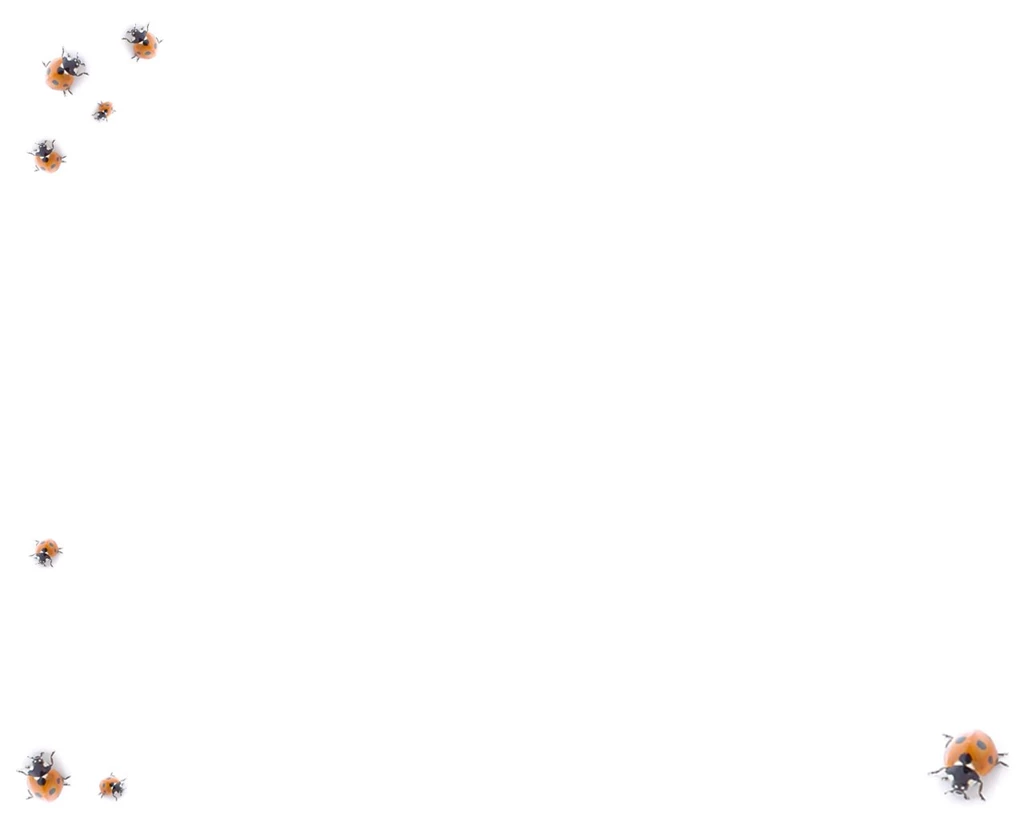 Bugs Wallpapers By Syngnathidas On DeviantArt