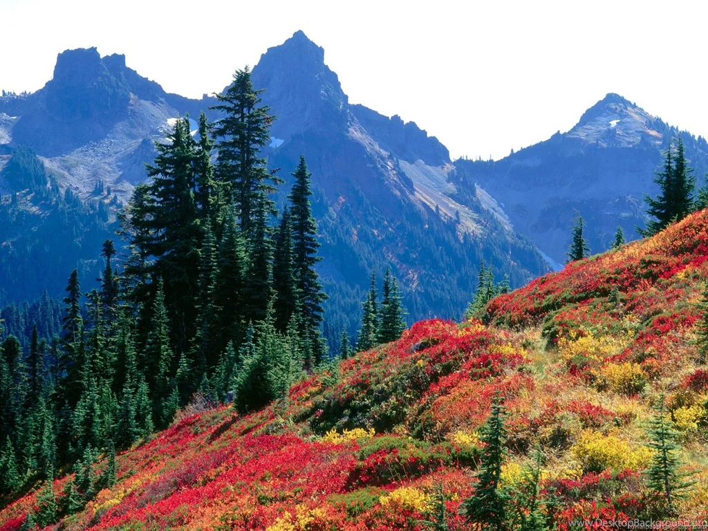 Computer Desktop Wallpapers