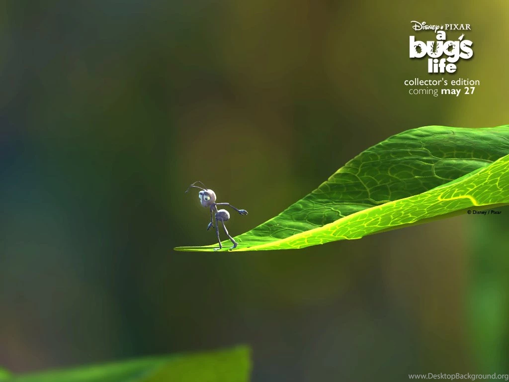 A Bugs Life Wallpapers