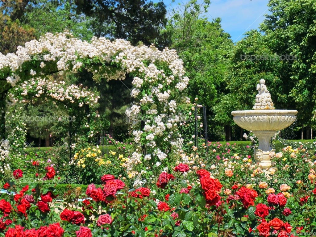 Gardens Wallpaper: Beautiful Red Rose Gardens Best Widescreen ...