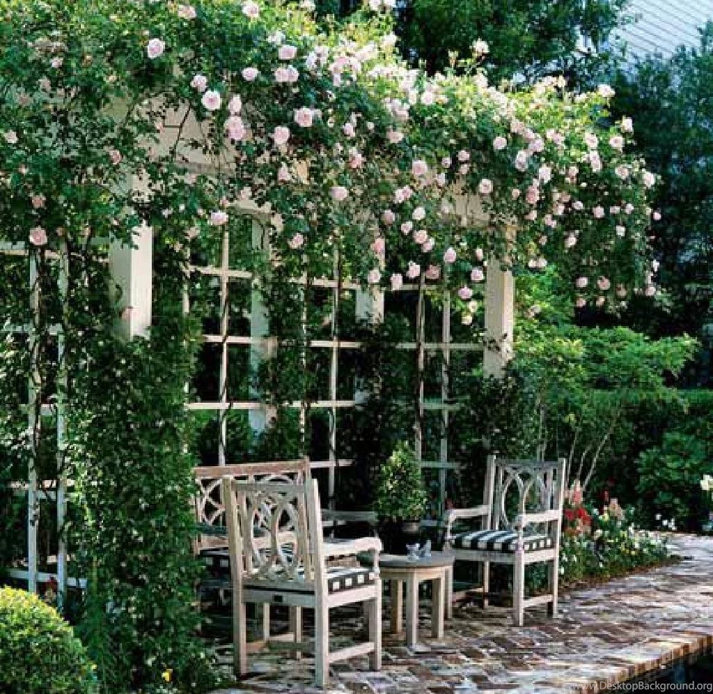 In The Rose Garden (