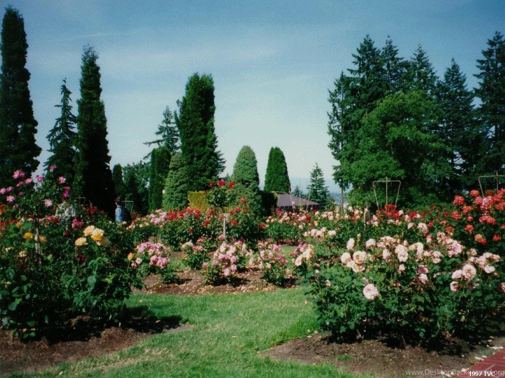 Rose Garden Pictures GoHome Designs Ideas GoHome Designs Ideas