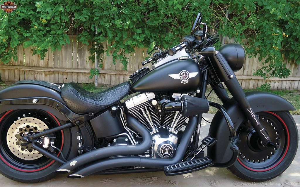 Harley Davidson Most Beautiful Pics Motorcycle High Quality ...