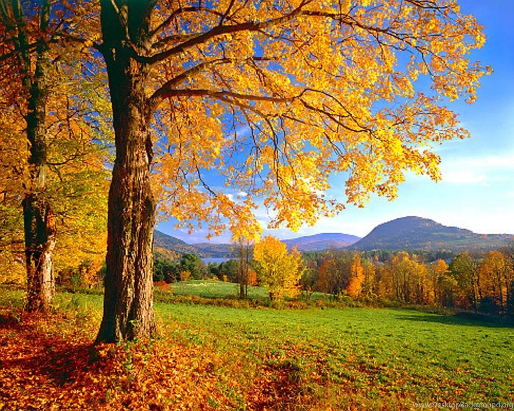Colorful Vermont Wallpapers (