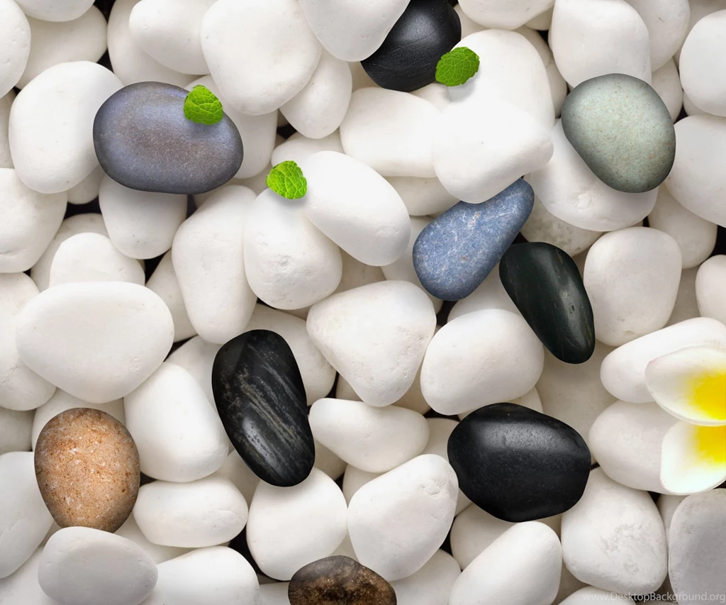 Cool Img Max: HD Wallpapers Android, IOS, Windows Phone And ...