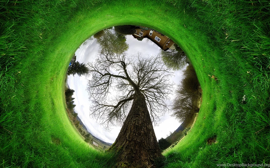 Nature Conservancy HD Wallpapers Widescreen 2560x1600