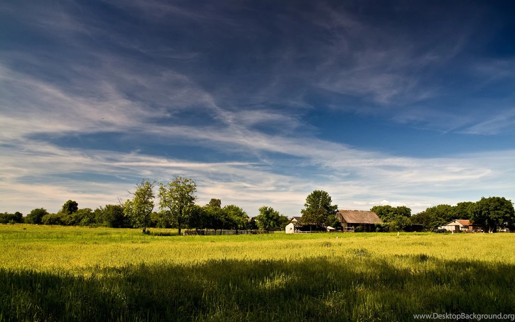 Desktop Nature Conservancy