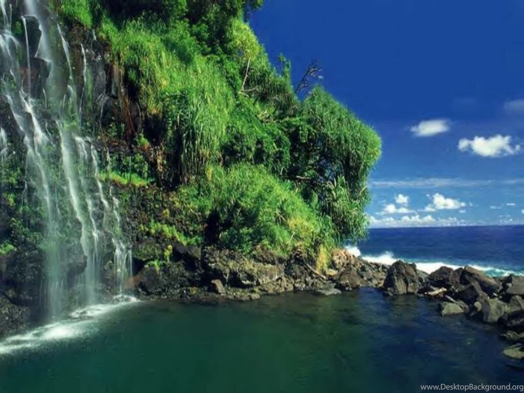 Desktop Nature Wallpaper: Amazing Nature Wallpaper, Nature ...