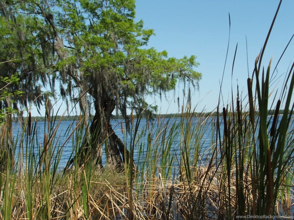 The Nature Conservancy CO