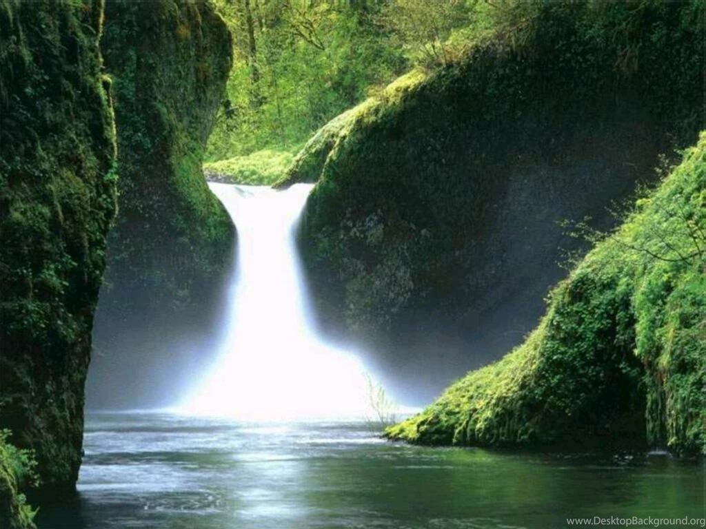 Desktop Nature Wallpaper: Amazing Nature Wallpaper, Nature ...