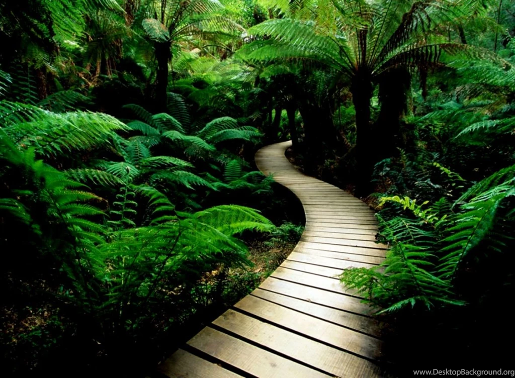 Nature Screensaver Pictures Wallpapers