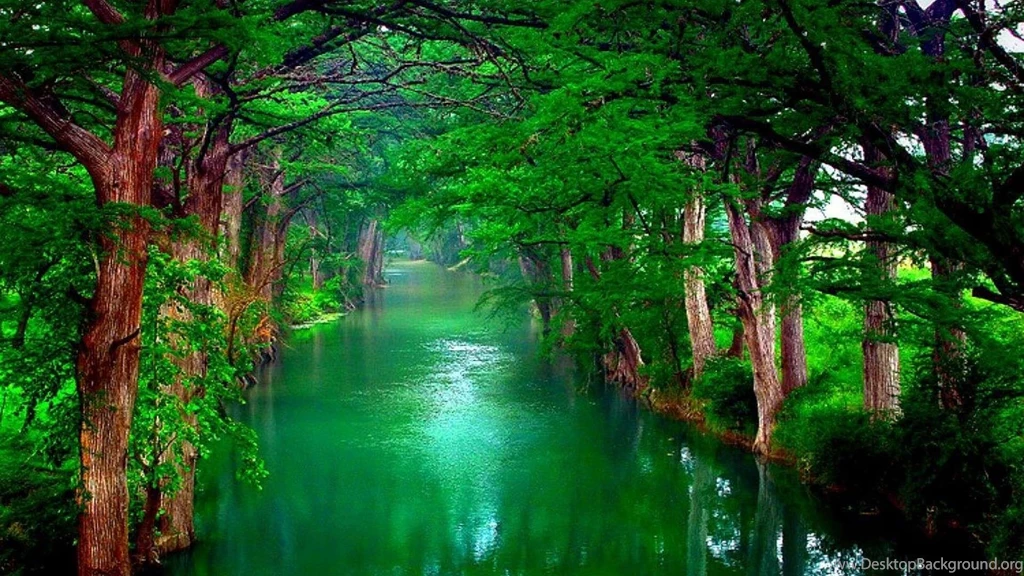 Nature Photos