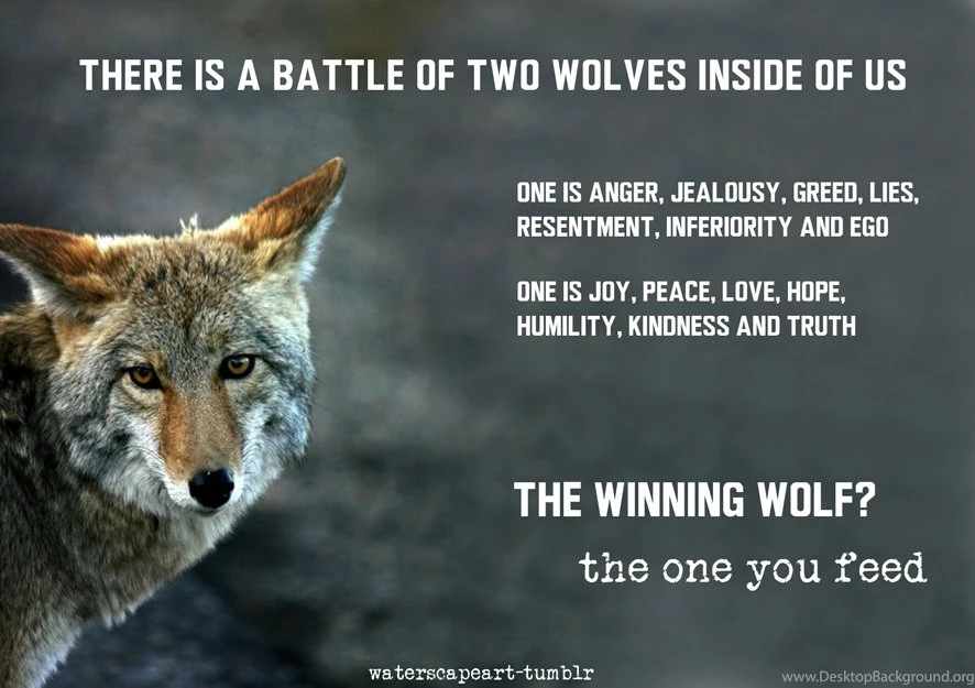 Cherokee Quotes On Life. QuotesGram