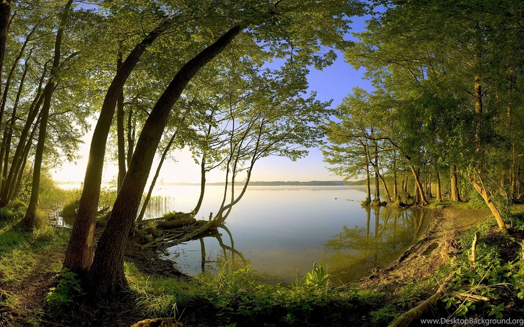 Beautiful Nature Wallpapers Stock Picture
