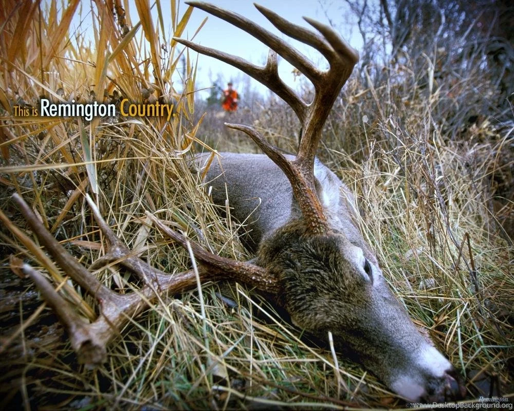 Lets See Your Hunting Desktop Backgrounds Page 2 Georgia ...