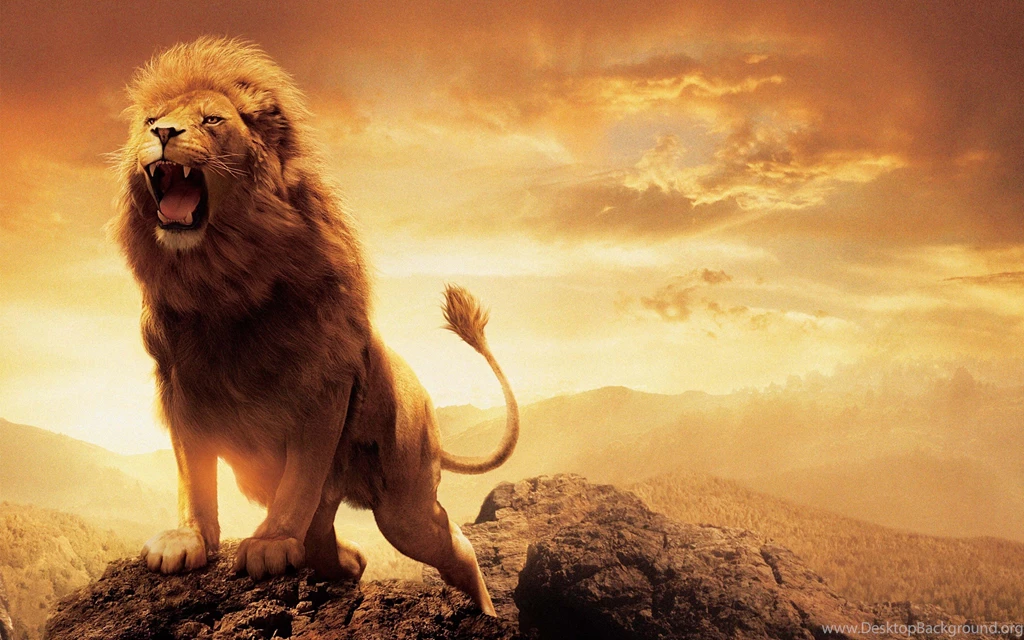 Other Aslan Movie Narnia Lion Wide High Quality Wallpapers ~ Other ...