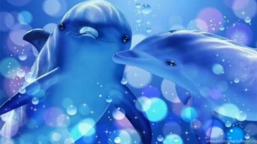 Dolphin Wallpapers HD Widescreen 2016 . Best High Resolution ...