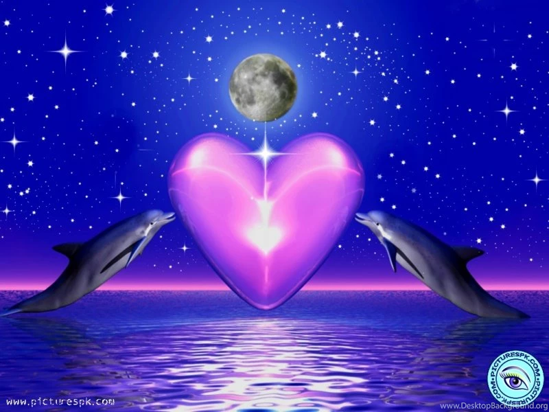 View Dolphins Fantasy Picture Wallpapers In 800x600 Resolution