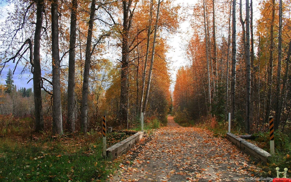 Best Nature Desktop Wallpapers – HD Wallpapers Free Download