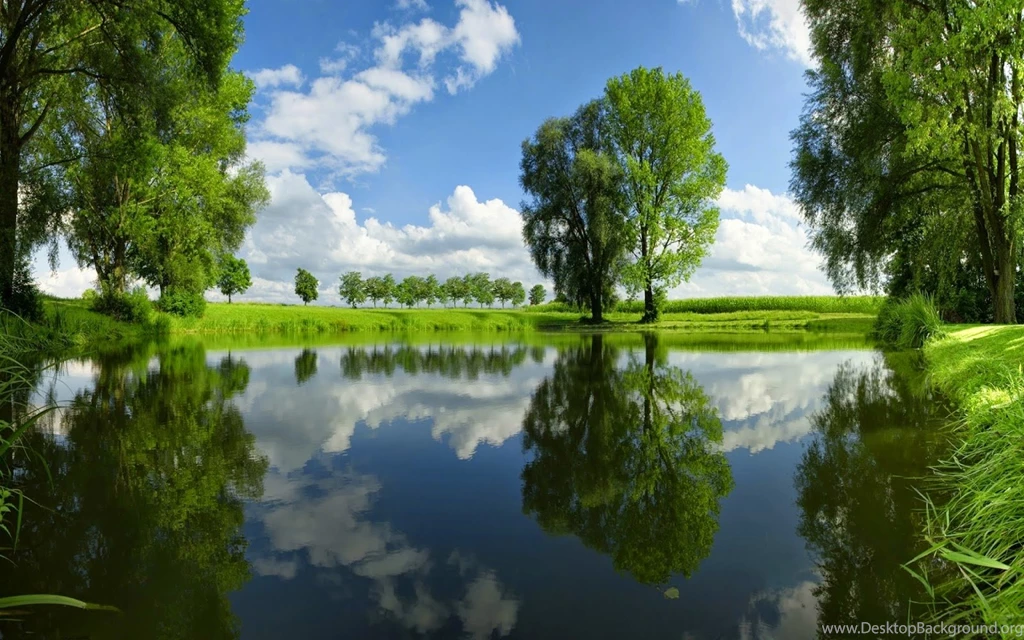 Wallpaper: One Touch Of Nature Makes The Whole World Kin