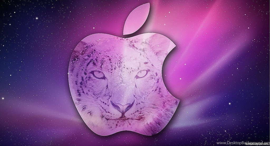 Designer Wallpapers Brands   5 Items