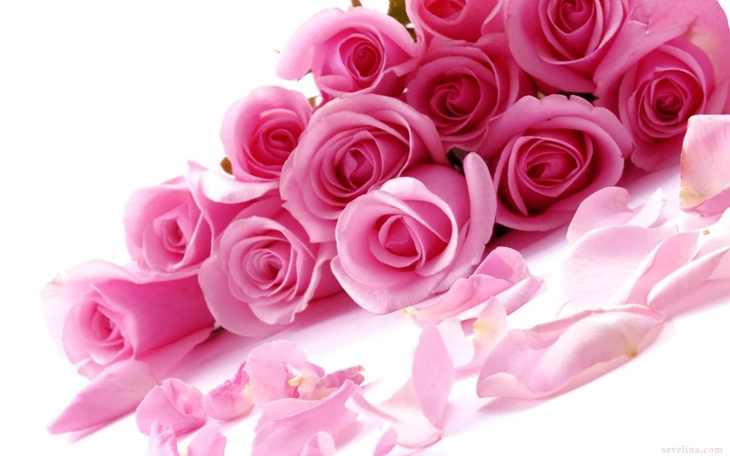 Top 14 Amazing ❤ Valentines Day Wallpapers 2014 ❤