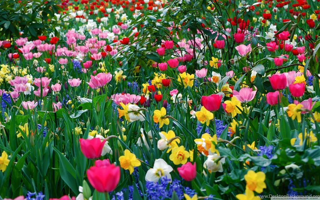Activities For Children : 31 Things For Your Kids This Spring