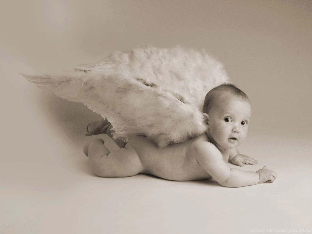 Children & Baby Photography : Newborn Photography, Infant ...