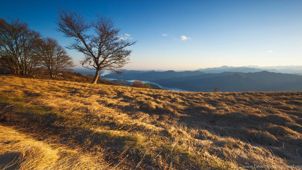 Lamborghini Logo Backgrounds