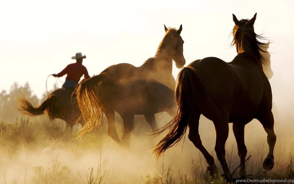 High Resolution Western Horses Wallpapers For Desktop Full Size ...
