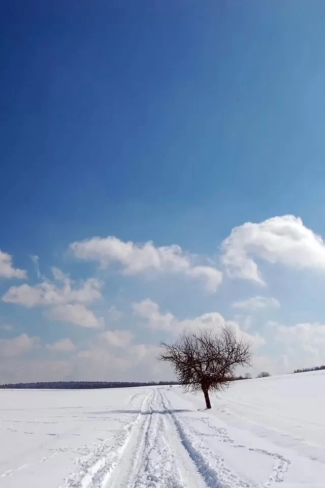 Way To Go Home iPhone 4s Wallpapers Download