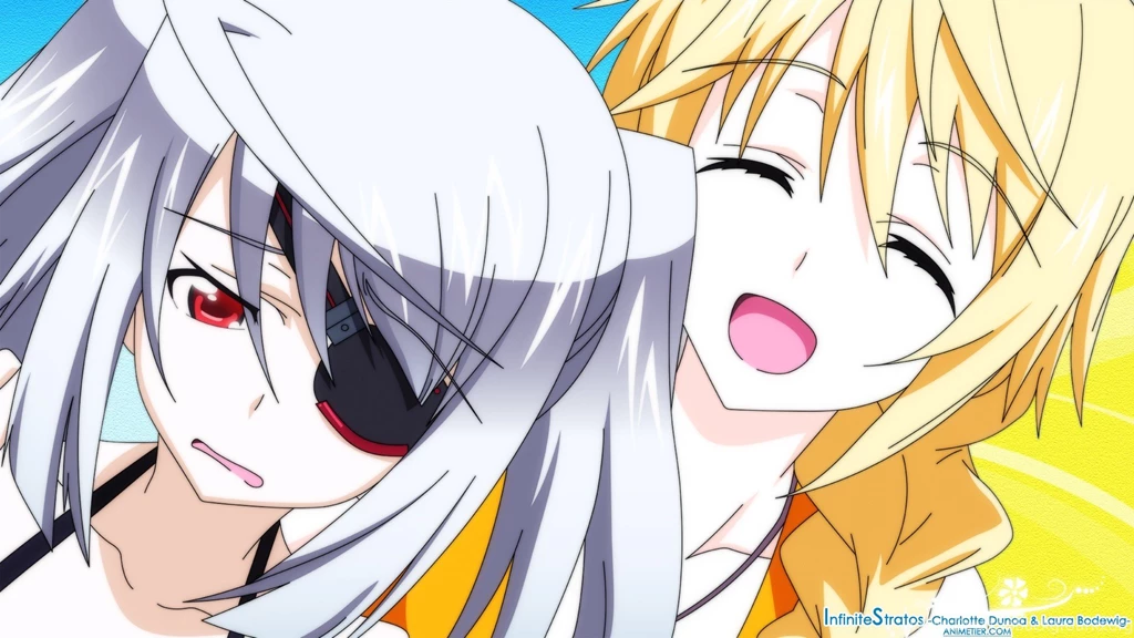 Infinite Stratos Wallpapers By Hirumi09 On DeviantArt