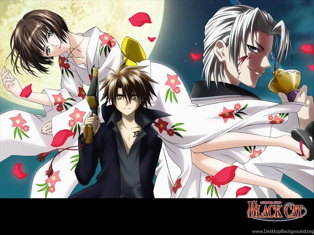 Black Cat Fan Club   Zincview