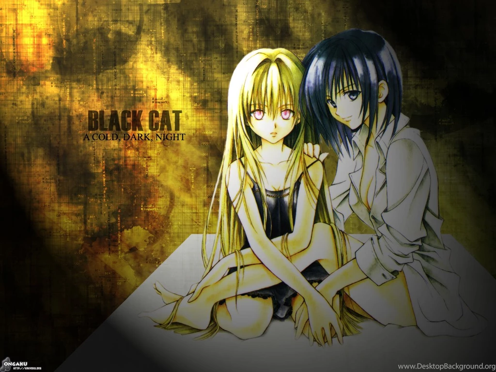 Wallpapers Black Cat Anime Image