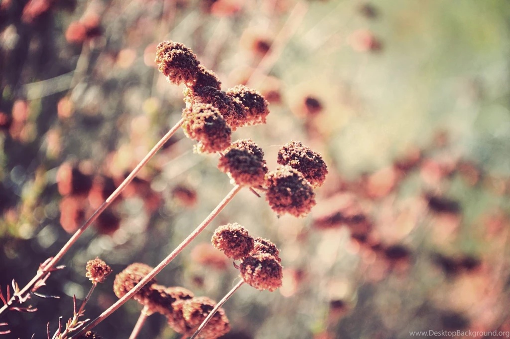 Vintage Landscape By Ricracer On DeviantArt