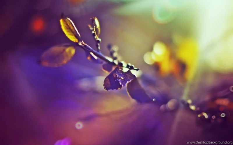 Ice Snow Winter Landscapes 1600x1200 Wallpapers – Nature Winter HD ...