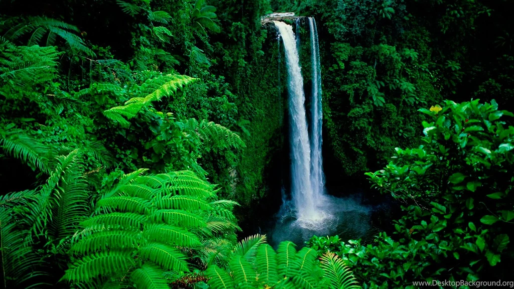 Wallpapers Download Com Wallpapers HD Wide